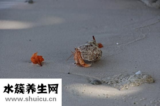 驗(yàn)血能查出什么