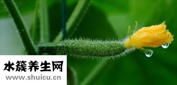 什么面膜補水效果好