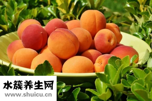 吃草莓可以減肥嗎