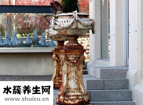 大豆蛋白質(zhì)含量