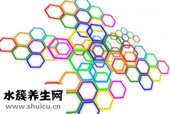 大豆蛋白質(zhì)含量