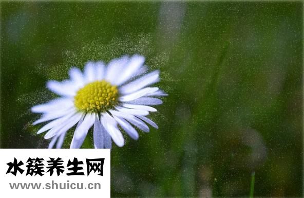 過敏了吃什么藥