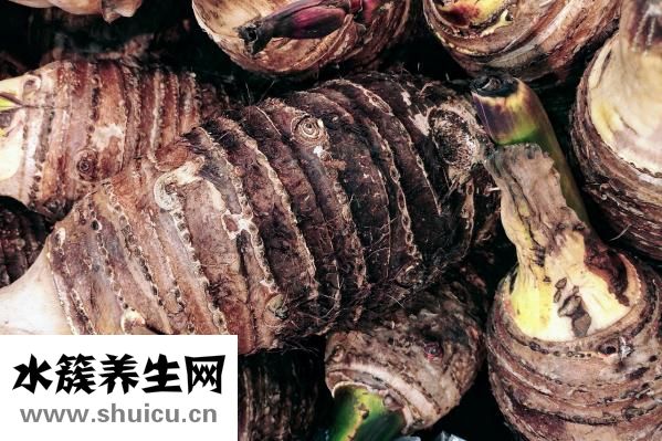 芋頭發(fā)芽可以吃嗎