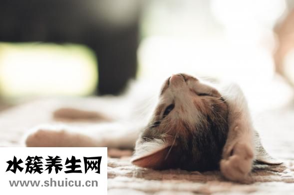 性生活可以減肥嗎