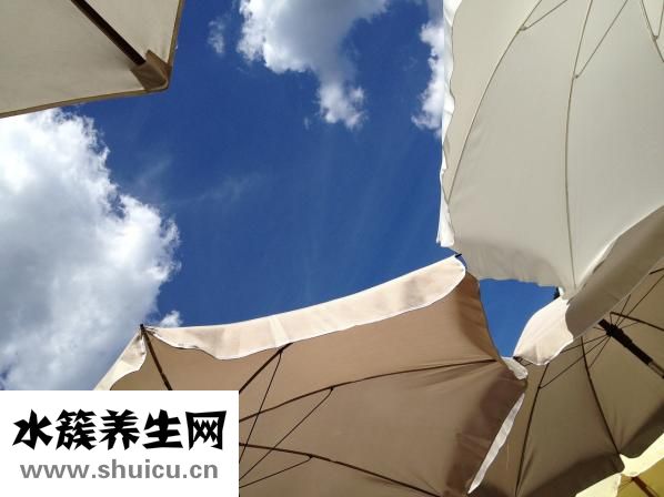 為什么長脂肪粒