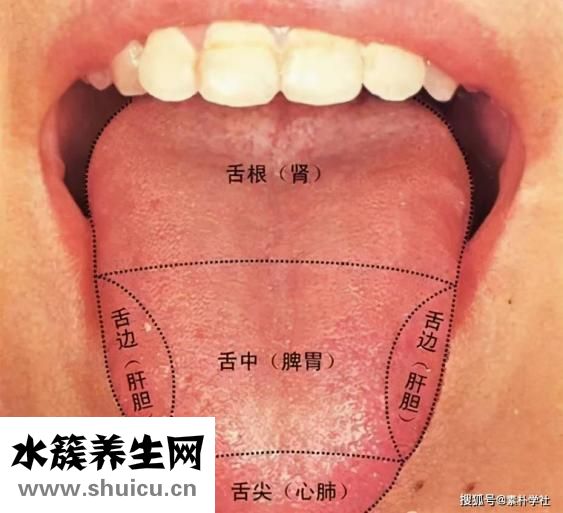 舌頭被燙了怎么辦
