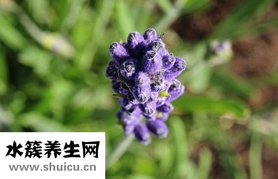 醫(yī)用防護(hù)口罩標(biāo)準(zhǔn)