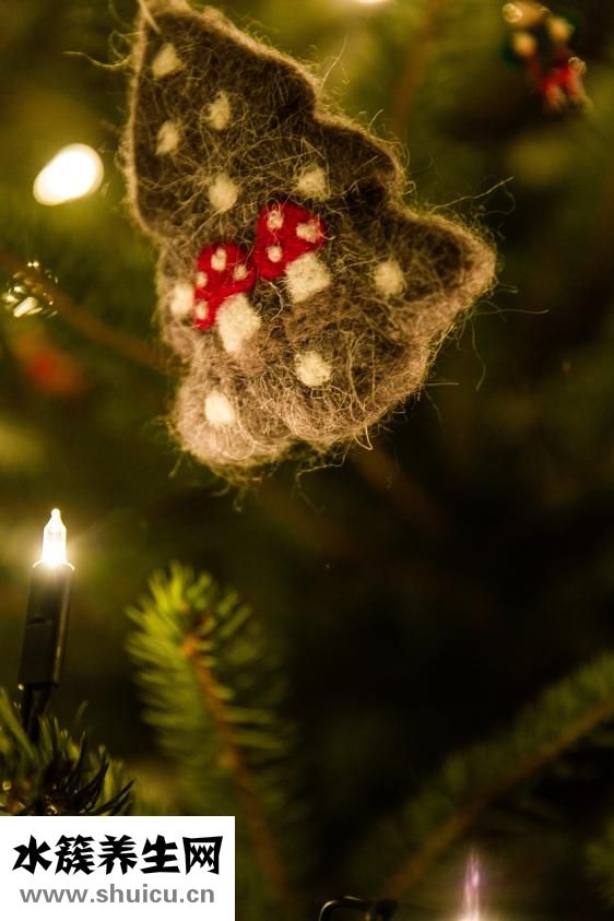 小細(xì)胞低色素貧血