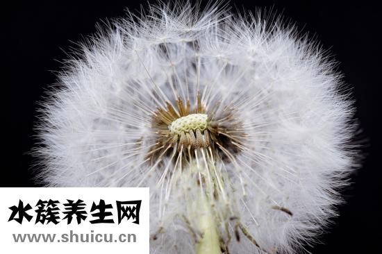 早上可以不洗臉嗎