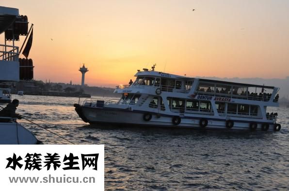 喉嚨嘶啞怎么治療