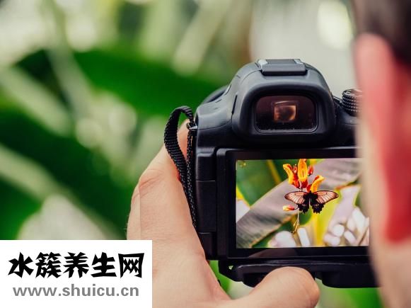 驗孕棒懷孕的圖片