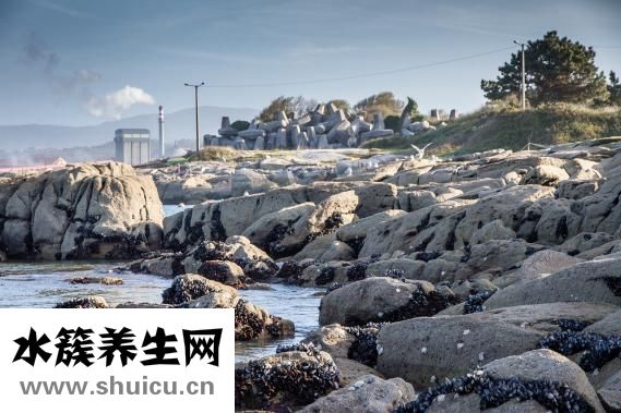 南瓜減肥還是增肥