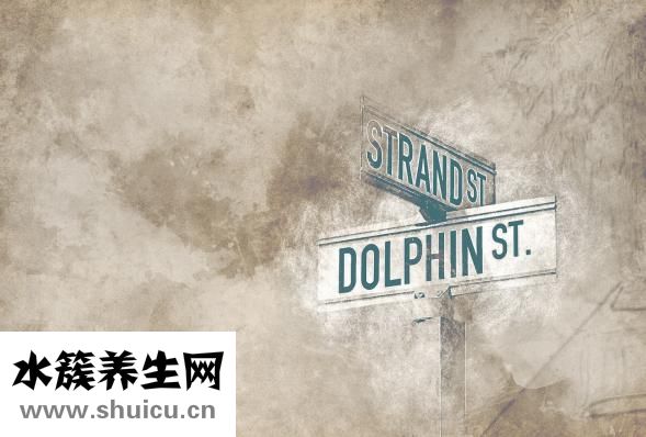 無創(chuàng)呼吸機