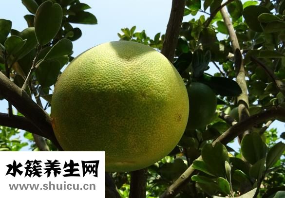 柚子皮怎么做才好吃