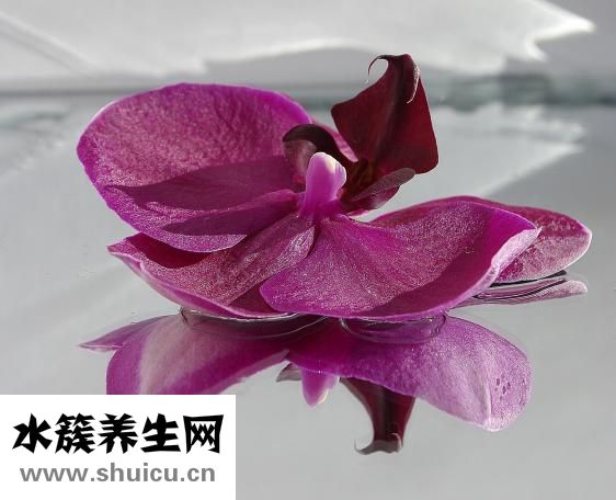 微創(chuàng)無痛人流