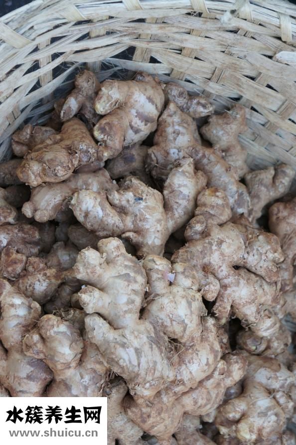 用生姜怎么瘦肚子