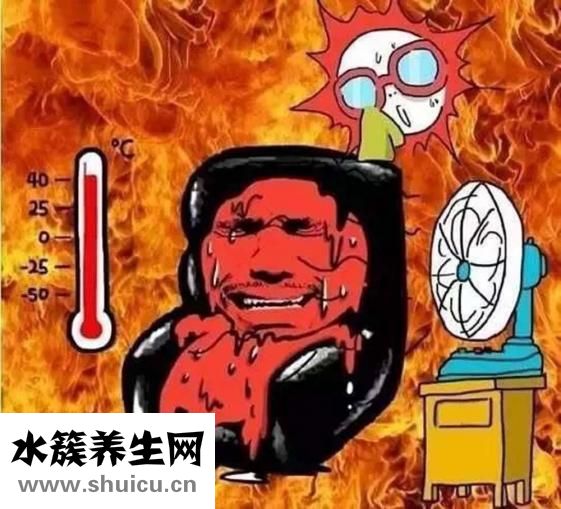 鯡魚罐頭有什么營養