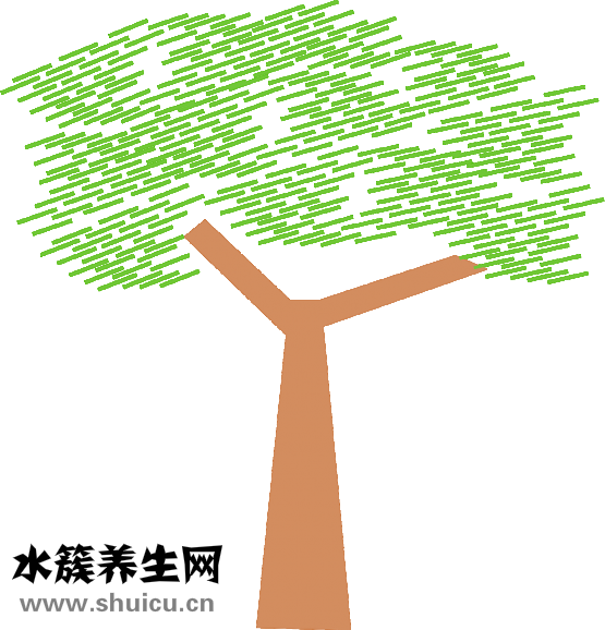 嬰兒不正常腿型圖