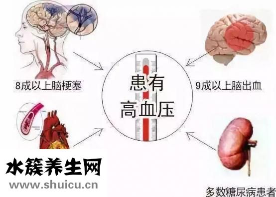 烏龍茶的功效與作用