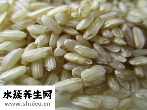 糙米的功效與作用