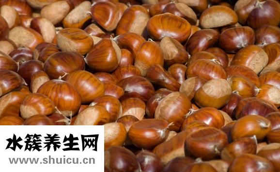 板栗的功效與作用