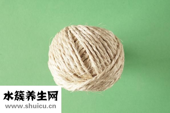 桔梗的功效與作用