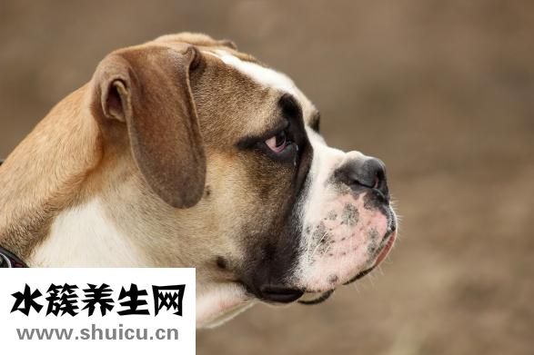 口干舌燥是怎么回事