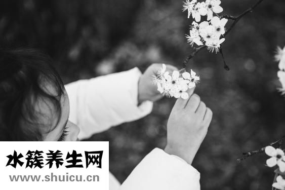 牛膝的功效與作用