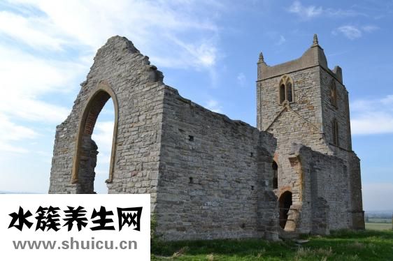 鬼針草的功效與作用