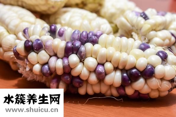 玉米的功效與作用