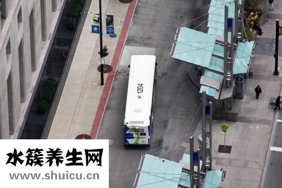 人體器官分布圖