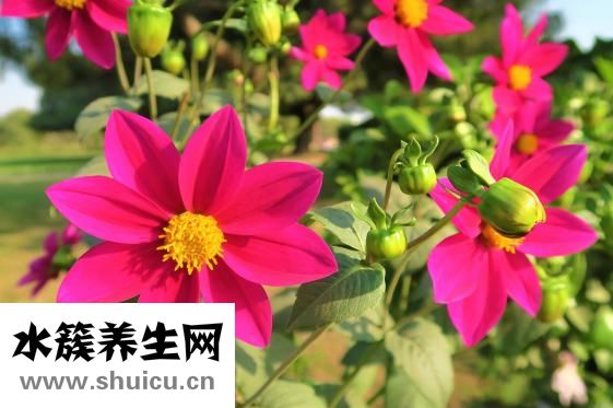 胃寒的癥狀有哪些