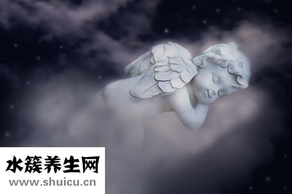 卵磷脂的功效與作用