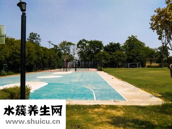 籃球場地標準尺寸