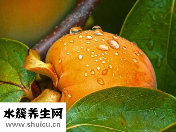 孕婦可以吃柿子嗎