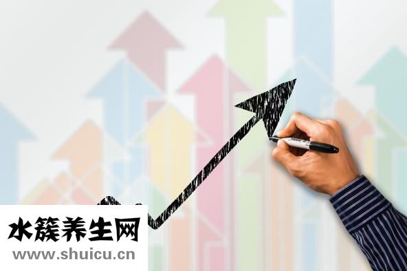 冬蟲夏草的價格