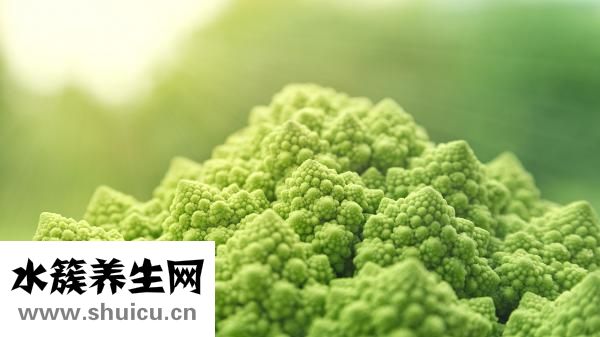 骨碎補(bǔ)的功效與作用