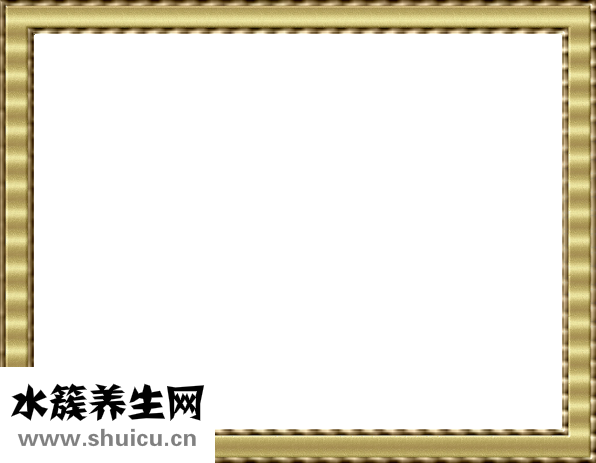 鷹嘴豆的功效與作用