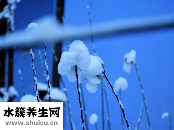 補腎壯陽的最佳方法