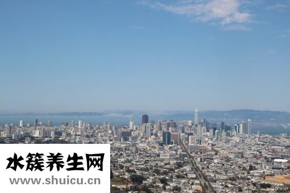 苦參的功效與作用