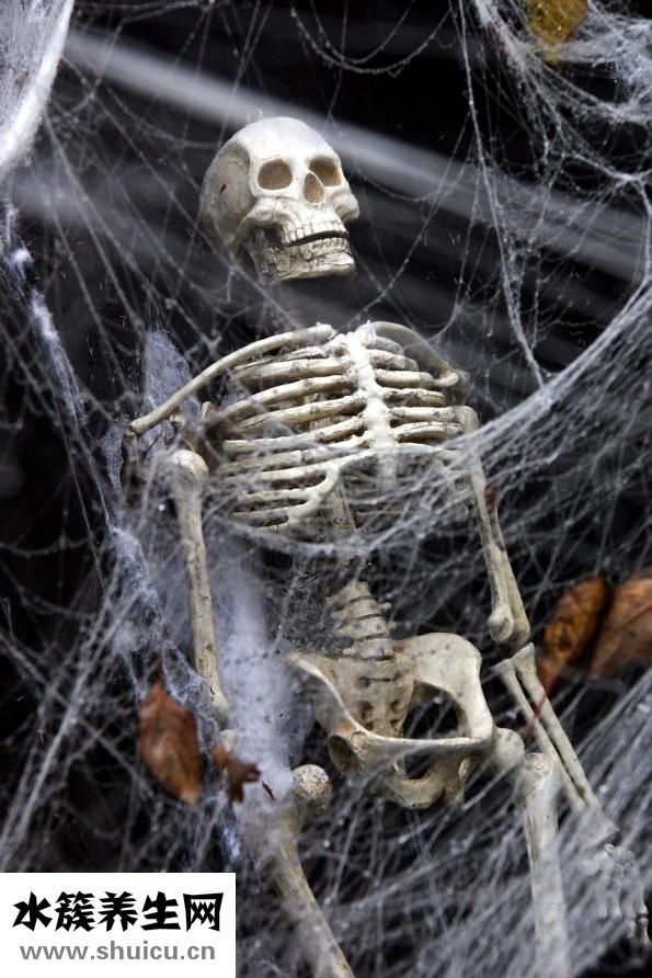 骨碎補(bǔ)的功效與作用