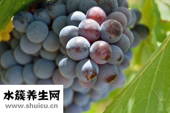 曲安奈德益康唑乳膏