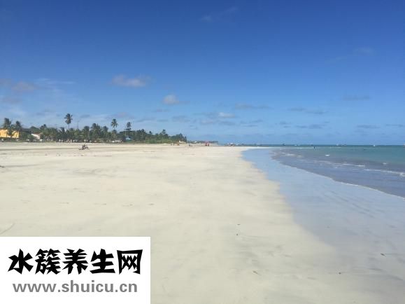 大白菜怎么做好吃