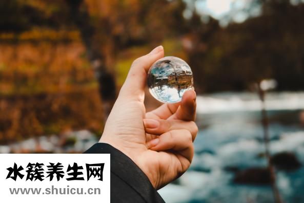 透骨草的功效與作用