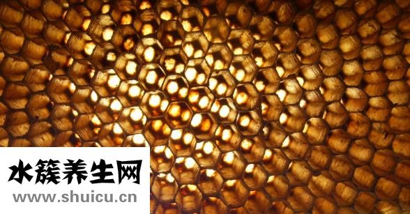 密集恐懼癥圖片