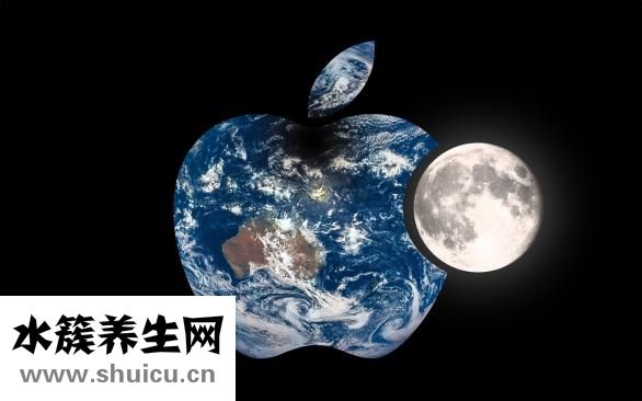 刺五加的功效與作用