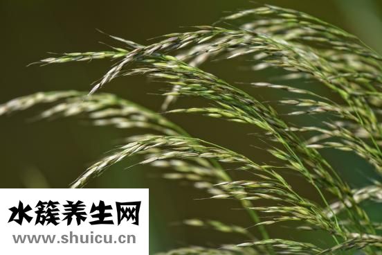 體脂率多少正常