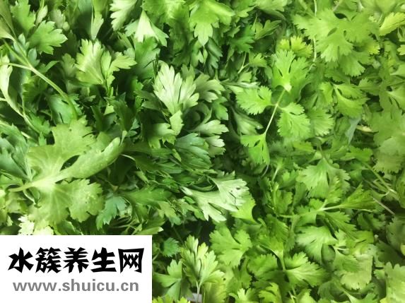 茄子的功效與作用