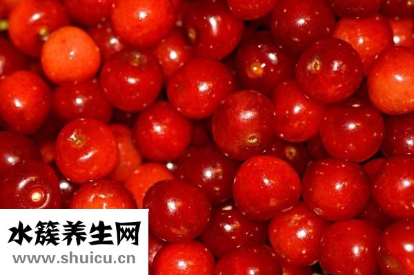 茄子的功效與作用