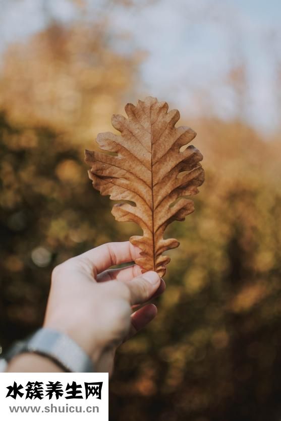 宮頸篩查是檢查什么